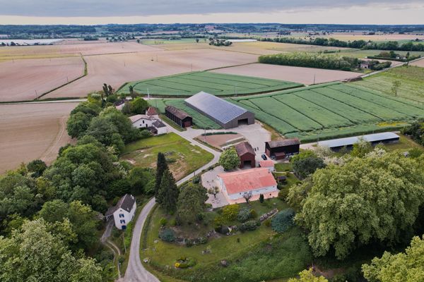 Vu de haut de l'installation - berry